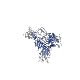 26881_7uz7_C_v1-2
Structure of the SARS-CoV-2 S 6P trimer in complex with the mouse antibody Fab fragment, M8a-31