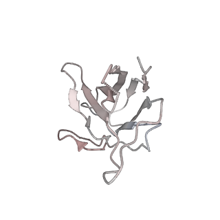 26881_7uz7_N_v1-2
Structure of the SARS-CoV-2 S 6P trimer in complex with the mouse antibody Fab fragment, M8a-31