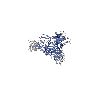 26882_7uz8_A_v1-2
Structure of the SARS-CoV-2 Omicron BA.1 S 6P trimer in complex with the mouse antibody Fab fragment, M8a-31