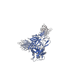 26882_7uz8_B_v1-2
Structure of the SARS-CoV-2 Omicron BA.1 S 6P trimer in complex with the mouse antibody Fab fragment, M8a-31