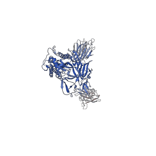 26882_7uz8_C_v1-2
Structure of the SARS-CoV-2 Omicron BA.1 S 6P trimer in complex with the mouse antibody Fab fragment, M8a-31