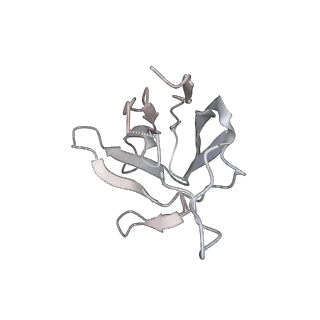 26882_7uz8_Q_v1-2
Structure of the SARS-CoV-2 Omicron BA.1 S 6P trimer in complex with the mouse antibody Fab fragment, M8a-31