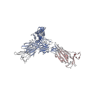 26883_7uz9_A_v1-2
Structure of the SARS-CoV-2 S 6P trimer in complex with the mouse antibody Fab fragment, M8a-34