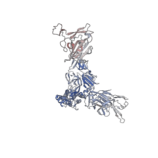 26883_7uz9_B_v1-2
Structure of the SARS-CoV-2 S 6P trimer in complex with the mouse antibody Fab fragment, M8a-34