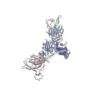 26883_7uz9_C_v1-2
Structure of the SARS-CoV-2 S 6P trimer in complex with the mouse antibody Fab fragment, M8a-34