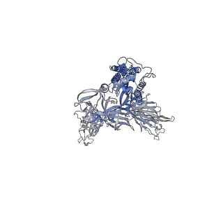 26884_7uza_A_v1-2
Structure of the SARS-CoV-2 S 6P trimer in complex with the mouse antibody Fab fragment, HSW-1