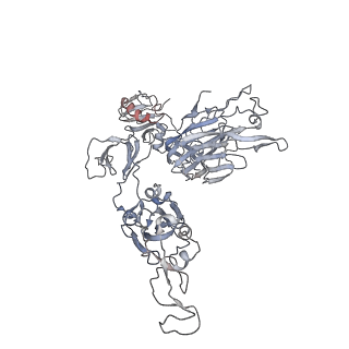 26885_7uzb_A_v1-2
Structure of the SARS-CoV-2 S S1 doamin in complex with the mouse antibody Fab fragment, HSW-2
