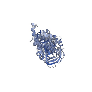 26909_7uzf_C_v1-0
Rat Kidney V-ATPase with SidK, State 1