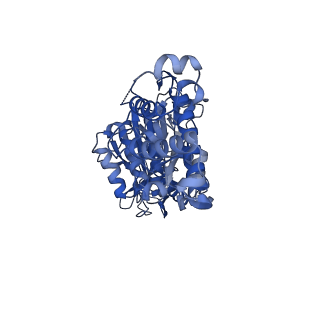 26909_7uzf_E_v1-0
Rat Kidney V-ATPase with SidK, State 1