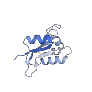 26909_7uzf_L_v1-0
Rat Kidney V-ATPase with SidK, State 1