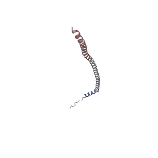 26909_7uzf_O_v1-0
Rat Kidney V-ATPase with SidK, State 1