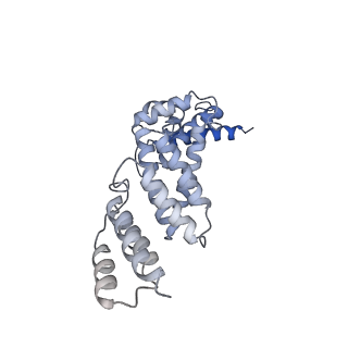 26909_7uzf_Q_v1-0
Rat Kidney V-ATPase with SidK, State 1
