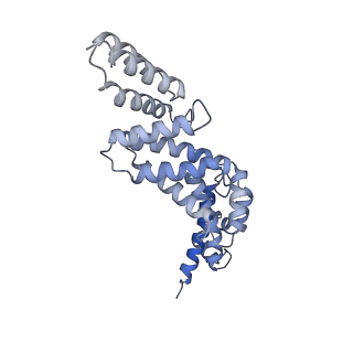 26909_7uzf_R_v1-0
Rat Kidney V-ATPase with SidK, State 1