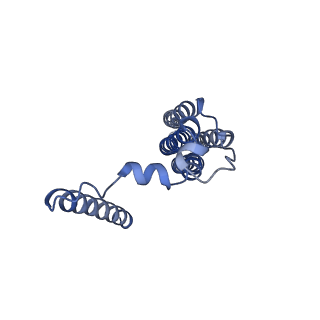 26909_7uzf_b_v1-0
Rat Kidney V-ATPase with SidK, State 1