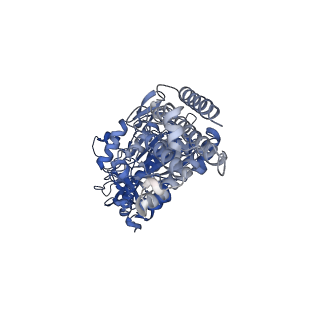 26910_7uzg_B_v1-0
Rat Kidney V-ATPase lacking subunit H, with SidK and NCOA7B, State 1