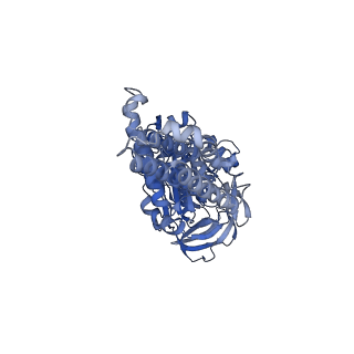 26910_7uzg_C_v1-0
Rat Kidney V-ATPase lacking subunit H, with SidK and NCOA7B, State 1