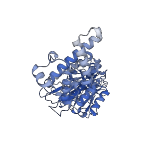 26910_7uzg_D_v1-0
Rat Kidney V-ATPase lacking subunit H, with SidK and NCOA7B, State 1