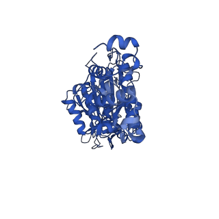 26910_7uzg_E_v1-0
Rat Kidney V-ATPase lacking subunit H, with SidK and NCOA7B, State 1