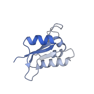 26910_7uzg_L_v1-0
Rat Kidney V-ATPase lacking subunit H, with SidK and NCOA7B, State 1