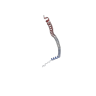 26910_7uzg_O_v1-0
Rat Kidney V-ATPase lacking subunit H, with SidK and NCOA7B, State 1