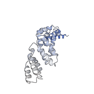 26910_7uzg_Q_v1-0
Rat Kidney V-ATPase lacking subunit H, with SidK and NCOA7B, State 1