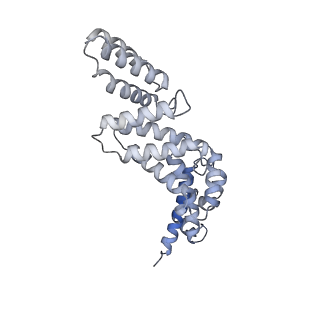26910_7uzg_R_v1-0
Rat Kidney V-ATPase lacking subunit H, with SidK and NCOA7B, State 1