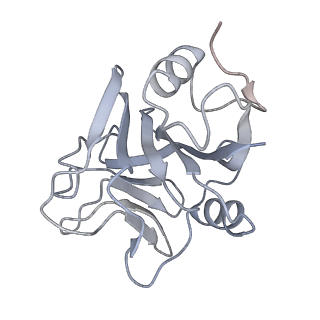 26910_7uzg_T_v1-0
Rat Kidney V-ATPase lacking subunit H, with SidK and NCOA7B, State 1