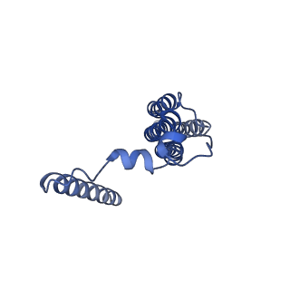 26910_7uzg_b_v1-0
Rat Kidney V-ATPase lacking subunit H, with SidK and NCOA7B, State 1