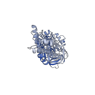 26911_7uzh_C_v1-0
Rat Kidney V-ATPase with SidK, State 2
