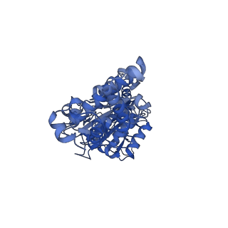 26911_7uzh_D_v1-0
Rat Kidney V-ATPase with SidK, State 2