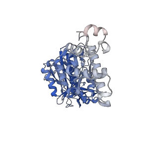 26911_7uzh_E_v1-0
Rat Kidney V-ATPase with SidK, State 2