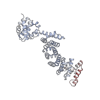 26911_7uzh_P_v1-0
Rat Kidney V-ATPase with SidK, State 2