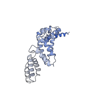 26911_7uzh_Q_v1-0
Rat Kidney V-ATPase with SidK, State 2