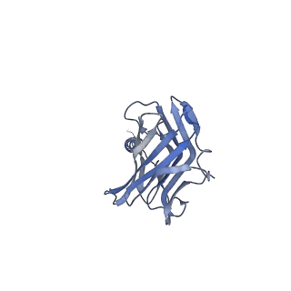 26911_7uzh_c_v1-0
Rat Kidney V-ATPase with SidK, State 2