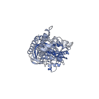 26912_7uzi_A_v1-0
Rat Kidney V-ATPase lacking subunit H, with SidK and NCOA7B, State 2