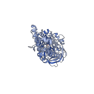 26912_7uzi_C_v1-0
Rat Kidney V-ATPase lacking subunit H, with SidK and NCOA7B, State 2
