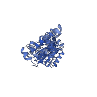26912_7uzi_D_v1-0
Rat Kidney V-ATPase lacking subunit H, with SidK and NCOA7B, State 2