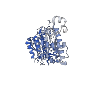 26912_7uzi_E_v1-0
Rat Kidney V-ATPase lacking subunit H, with SidK and NCOA7B, State 2