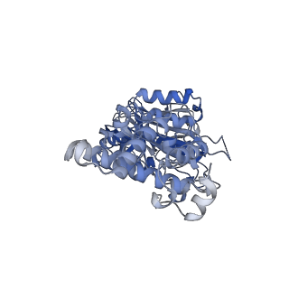 26912_7uzi_F_v1-0
Rat Kidney V-ATPase lacking subunit H, with SidK and NCOA7B, State 2