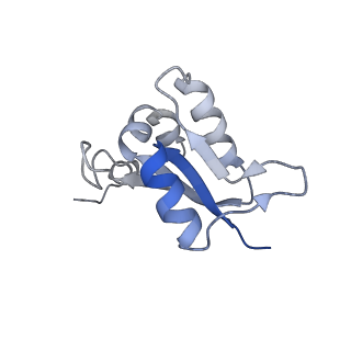 26912_7uzi_L_v1-0
Rat Kidney V-ATPase lacking subunit H, with SidK and NCOA7B, State 2