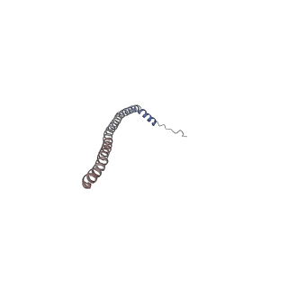 26912_7uzi_N_v1-0
Rat Kidney V-ATPase lacking subunit H, with SidK and NCOA7B, State 2
