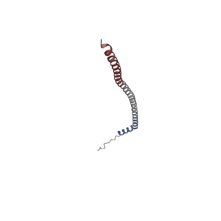 26912_7uzi_O_v1-0
Rat Kidney V-ATPase lacking subunit H, with SidK and NCOA7B, State 2