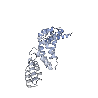 26912_7uzi_Q_v1-0
Rat Kidney V-ATPase lacking subunit H, with SidK and NCOA7B, State 2