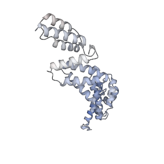 26912_7uzi_R_v1-0
Rat Kidney V-ATPase lacking subunit H, with SidK and NCOA7B, State 2