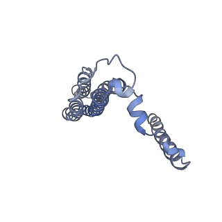 26912_7uzi_b_v1-0
Rat Kidney V-ATPase lacking subunit H, with SidK and NCOA7B, State 2
