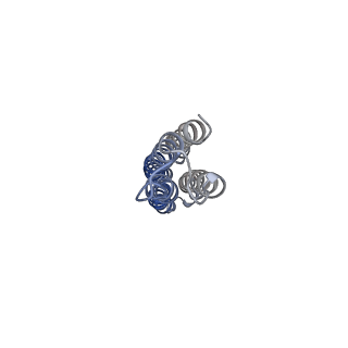 26912_7uzi_j_v1-0
Rat Kidney V-ATPase lacking subunit H, with SidK and NCOA7B, State 2