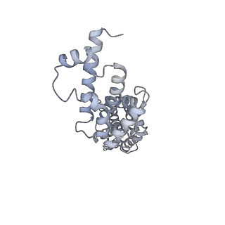 26914_7uzk_R_v1-0
Rat Kidney V1 complex lacking subunit H with SidK and NCOA7B, State 1