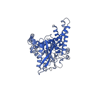 26915_7uzm_A_v1-1
Glutamate dehydrogenase 1 from human liver