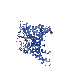 26915_7uzm_B_v1-1
Glutamate dehydrogenase 1 from human liver