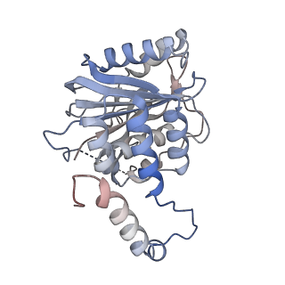 26919_7uzv_E_v1-2
Cytoplasmic domains of Band 3-I (local refinement from consensus reconstruction of ankyrin complexes)